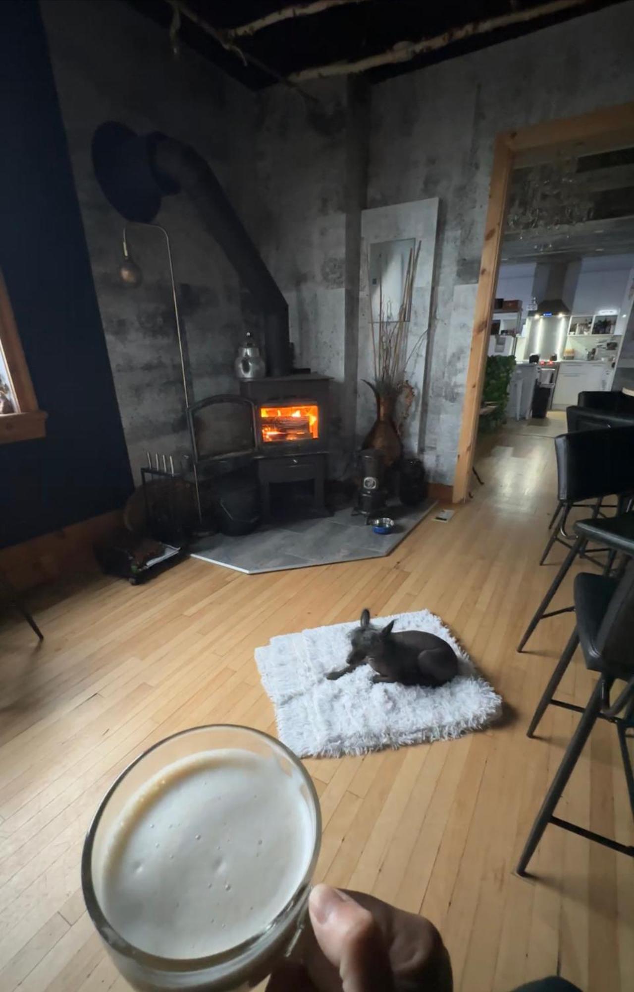 Auberge Et Bistro Namaste Lachute Екстер'єр фото